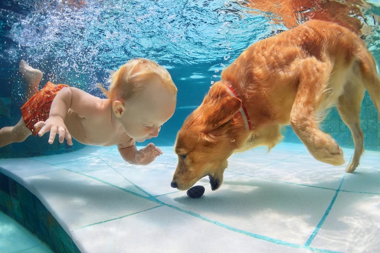 Hund und Kind im Pool